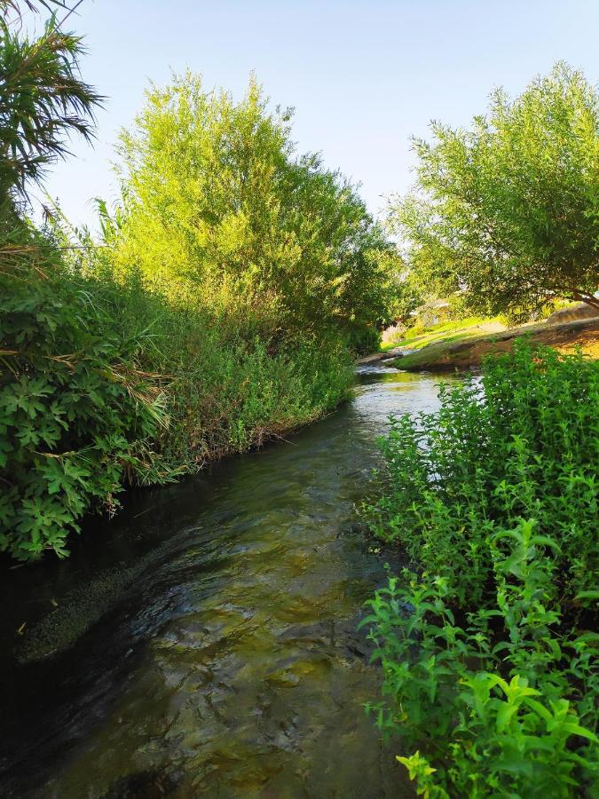 Villa By The River Facing The Hermon In Дафна Екстериор снимка